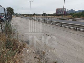 Land plot 3.500 sqm for sale