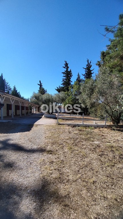 Φάρμα / ράντσο 10.000 τ.μ. πρός ενοικίαση, Θεσσαλονίκη - Περιφ/Κοί Δήμοι, Θέρμη