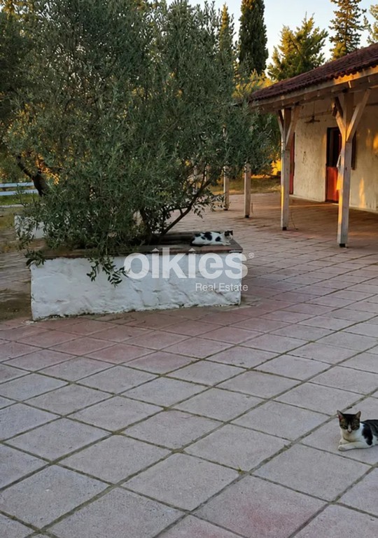 Φάρμα / ράντσο 10.000 τ.μ. πρός ενοικίαση, Θεσσαλονίκη - Περιφ/Κοί Δήμοι, Θέρμη
