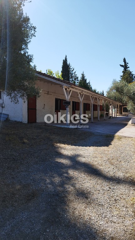 Φάρμα / ράντσο 10.000 τ.μ. πρός ενοικίαση, Θεσσαλονίκη - Περιφ/Κοί Δήμοι, Θέρμη