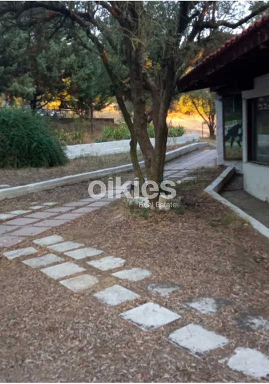 Φάρμα / ράντσο 10.000 τ.μ. πρός ενοικίαση, Θεσσαλονίκη - Περιφ/Κοί Δήμοι, Θέρμη