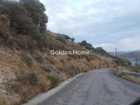 Αγροτεμάχια 4.268 τ.μ. πρός πώληση
