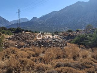 Οικόπεδο 8.000 τ.μ. για πώληση