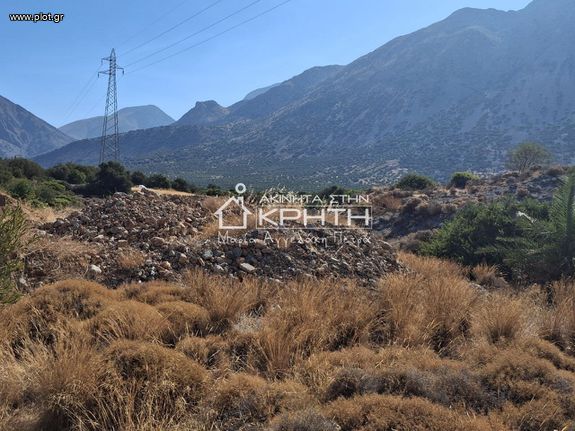 Οικόπεδο 8.000 τ.μ. για πώληση, Ν. Λασιθίου, Ιεράπετρα