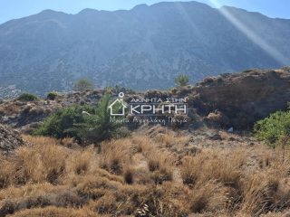 Οικόπεδο 8.000 τ.μ. για πώληση, Ν. Λασιθίου, Ιεράπετρα-thumb-1