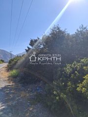Οικόπεδο 8.000 τ.μ. για πώληση, Ν. Λασιθίου, Ιεράπετρα-thumb-3