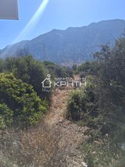 Οικόπεδο 8.000 τ.μ. για πώληση, Ν. Λασιθίου, Ιεράπετρα-thumb-4