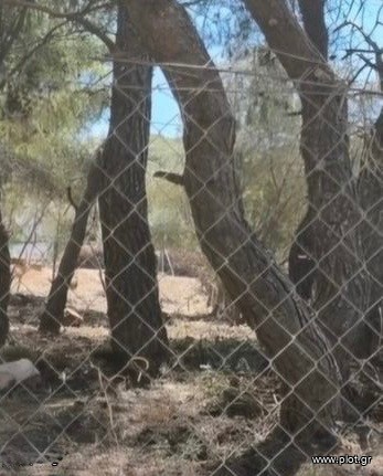 Οικόπεδο 897 τ.μ. πρός πώληση, Αθήνα - Νότια Προάστια, Γλυφάδα