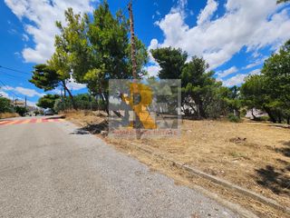 Οικόπεδο 720 τ.μ. προς πώληση, Παλλήνη Αττικής-thumb-1
