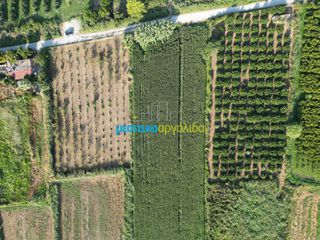 Αγροτεμάχια 7.354 τ.μ. για πώληση, Αργολίδα, Άργος-thumb-10