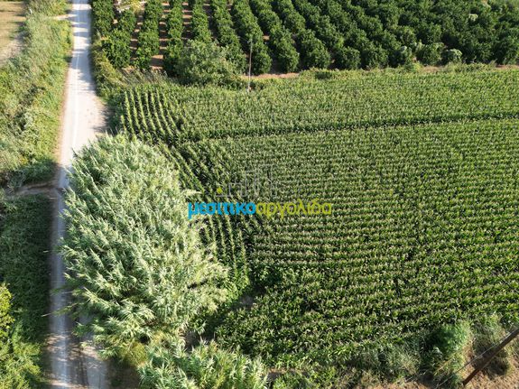 Αγροτεμάχια 7.354 τ.μ. για πώληση, Αργολίδα, Άργος