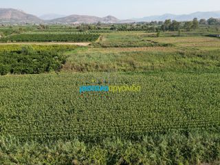 Αγροτεμάχια 7.354 τ.μ. για πώληση, Αργολίδα, Άργος-thumb-13