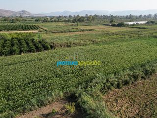 Αγροτεμάχια 7.354 τ.μ. για πώληση, Αργολίδα, Άργος-thumb-12