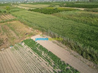 Αγροτεμάχια 7.354 τ.μ. για πώληση, Αργολίδα, Άργος-thumb-3
