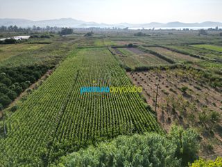 Αγροτεμάχια 7.354 τ.μ. για πώληση, Αργολίδα, Άργος-thumb-6