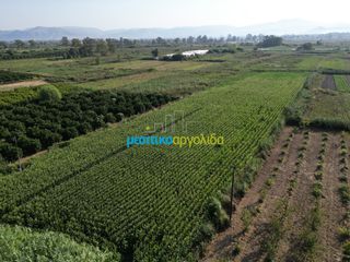 Αγροτεμάχια 7.354 τ.μ. για πώληση, Αργολίδα, Άργος-thumb-9
