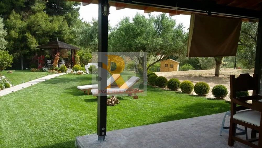 Αγροτεμάχια 10.050 τ.μ. προς πώληση, Παλλήνη Αττικής