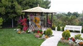 Αγροτεμάχια 10.050 τ.μ. για πώληση