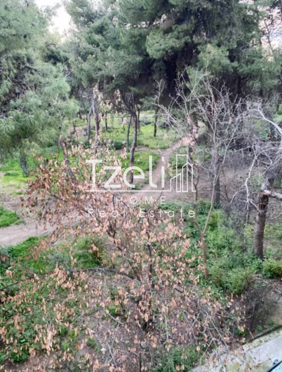 Διαμέρισμα 55 τ.μ. πρός ενοικίαση, Αθήνα - Κέντρο, Ιλίσια