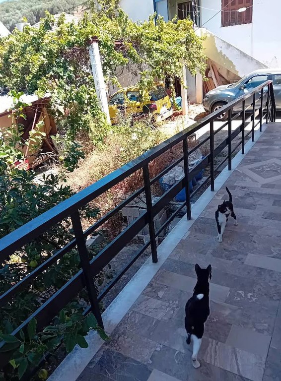 Μονοκατοικία 80 τ.μ. πρός ενοικίαση, Ν. Χανίων, Μουσούροι