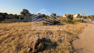 Οικόπεδο 1.313 τ.μ. για πώληση
