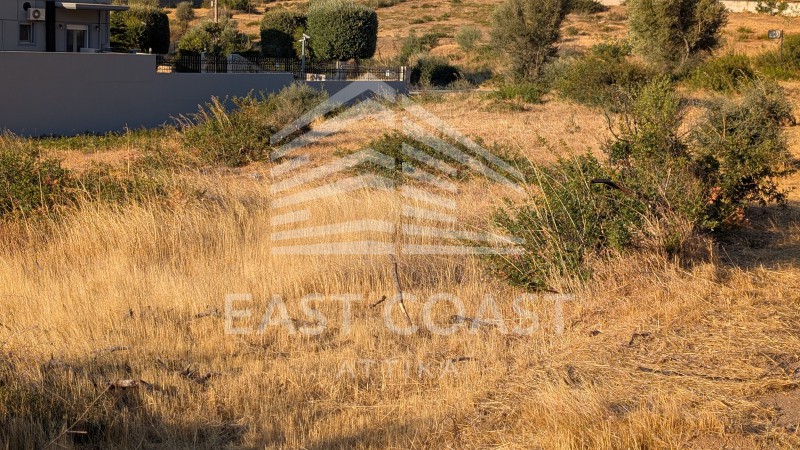Οικόπεδο 1.313 τ.μ. πρός πώληση, Αθήνα - Βόρεια Προάστια, Πεντέλη