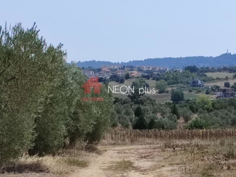 Αγροτεμάχια 22.500 τ.μ. πρός πώληση, Χαλκιδική, Κασσάνδρα
