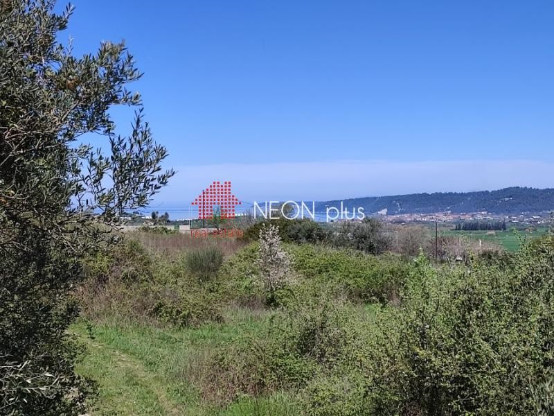 Οικόπεδο 2.000 τ.μ. πρός πώληση, Χαλκιδική, Κασσάνδρα
