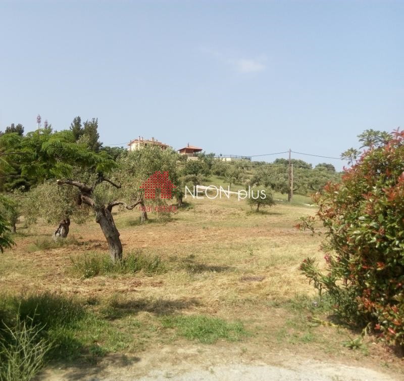 Οικόπεδο 777 τ.μ. πρός πώληση, Χαλκιδική, Κασσάνδρα