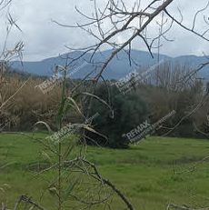 Αγροτεμάχια 4.059 τ.μ. για πώληση, Μεσσηνία, Μελιγαλά-thumb-1