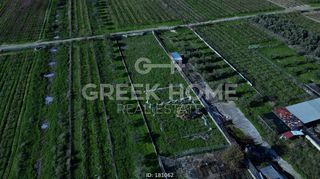 Οικόπεδο 3.000 τ.μ. για πώληση