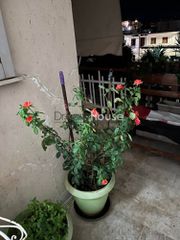 Διαμέρισμα 99 τ.μ. για πώληση, Πέλλα, Έδεσσα-thumb-11