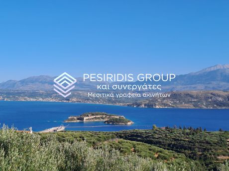Αγροτεμάχια 62.000 τ.μ. προς πώληση