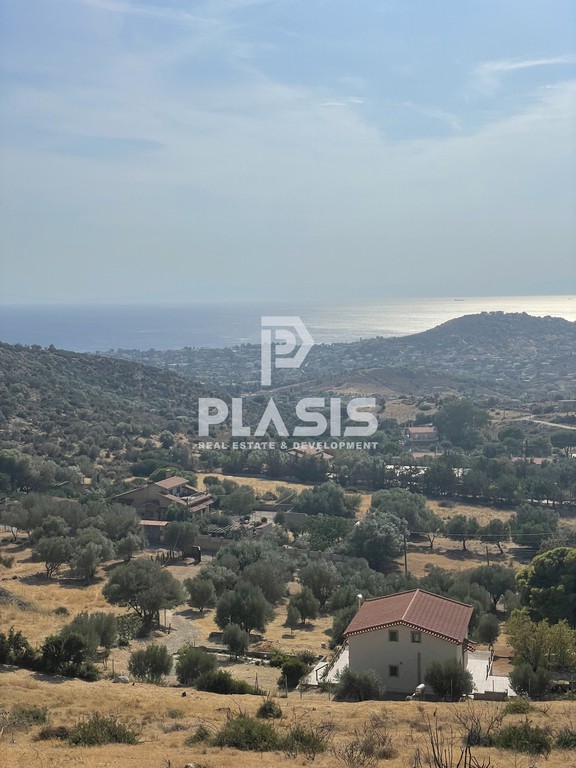 Αγροτεμάχια 5.580 τ.μ. προς πώληση, Λαγονήσι