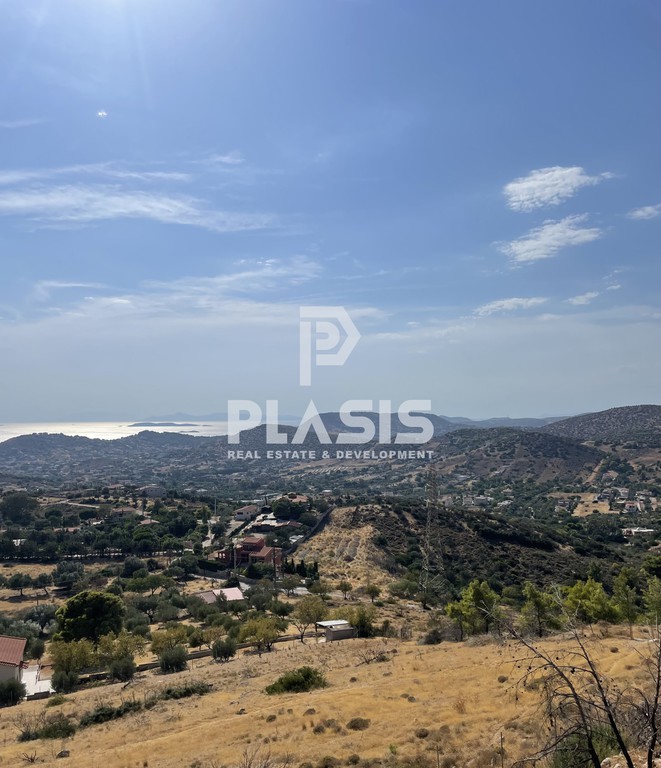 Αγροτεμάχια 5.580 τ.μ. προς πώληση, Λαγονήσι