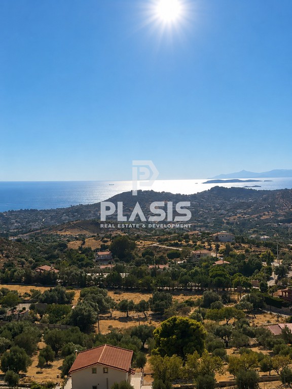 Αγροτεμάχια 5.580 τ.μ. προς πώληση, Λαγονήσι