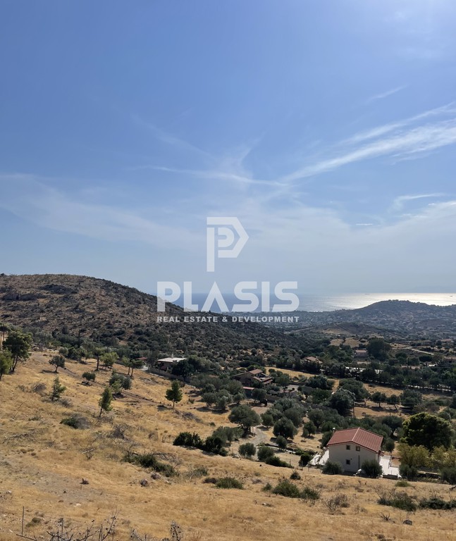Αγροτεμάχια 5.580 τ.μ. προς πώληση, Λαγονήσι