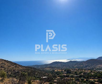 Αγροτεμάχια 5.580 τ.μ. προς πώληση