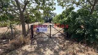 Αγροτεμάχια 10.000 τ.μ. προς πώληση, Κέντρο Γιαννούλης Λάρισας-thumb-1