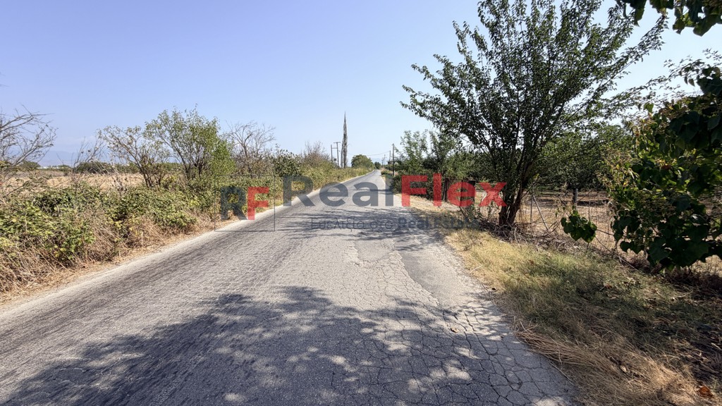 Αγροτεμάχια 10.000 τ.μ. προς πώληση, Κέντρο Γιαννούλης Λάρισας