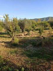 Αγροτεμάχια 10.000 τ.μ. για πώληση, Ν. Άρτας, Βλαχέρνα-thumb-1