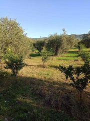 Αγροτεμάχια 10.000 τ.μ. για πώληση, Ν. Άρτας, Βλαχέρνα-thumb-3