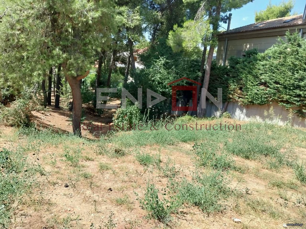 Οικόπεδο 800 τ.μ. πρός πώληση, Αθήνα - Βόρεια Προάστια, Διόνυσος