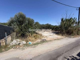 Αγροτεμάχια 300 τ.μ. για πώληση