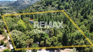 Αγροτεμάχια 4.148 τ.μ. για πώληση, Ν. Λευκάδας, Λευκάδα-thumb-3