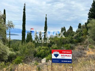 Αγροτεμάχια 4.148 τ.μ. για πώληση