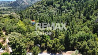 Αγροτεμάχια 4.148 τ.μ. για πώληση, Ν. Λευκάδας, Λευκάδα-thumb-9