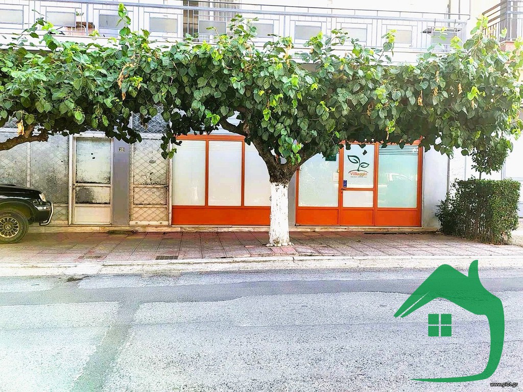 Κατάστημα 50 τ.μ. πρός ενοικίαση, Πέλλα, Αριδαία