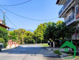 Κατάστημα 50 τ.μ. πρός ενοικίαση, Πέλλα, Αριδαία-thumb-11