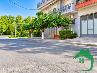 Κατάστημα 50 τ.μ. πρός ενοικίαση, Πέλλα, Αριδαία-thumb-12